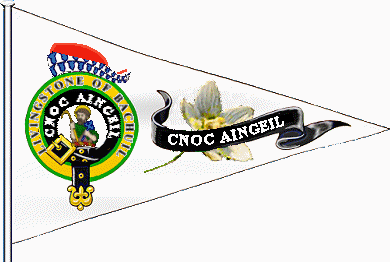 The Pinsel of Alastair livingstone of Bachuil